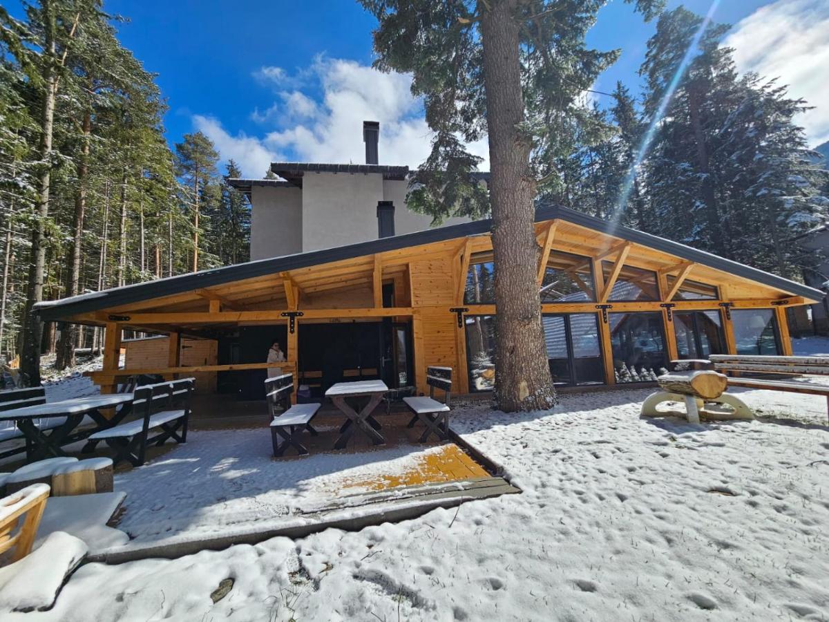 Algara Hut Hotel Panicsiste Kültér fotó