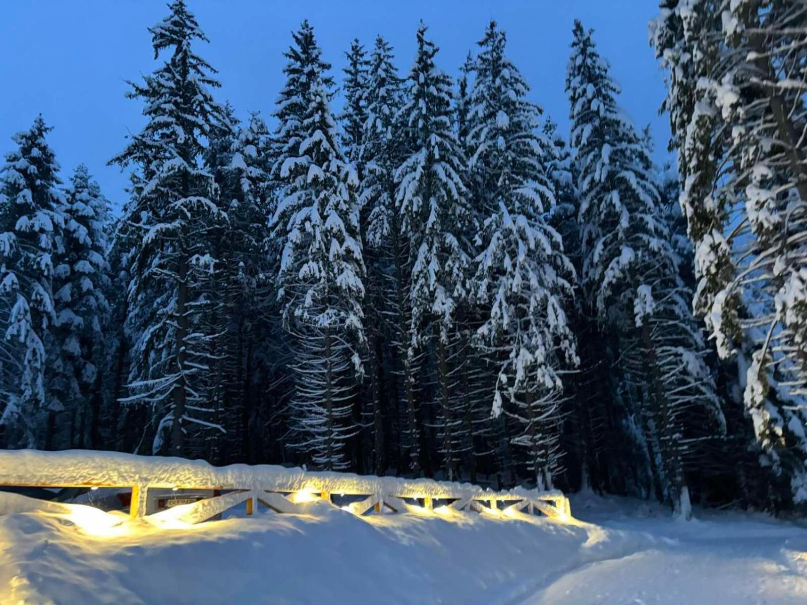 Algara Hut Hotel Panicsiste Kültér fotó